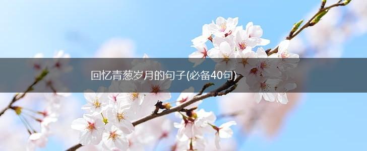 回忆青葱岁月的句子(必备40句),第1张