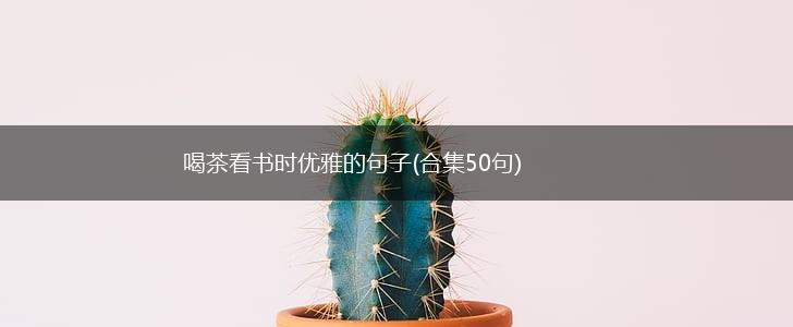 喝茶看书时优雅的句子(合集50句),第1张