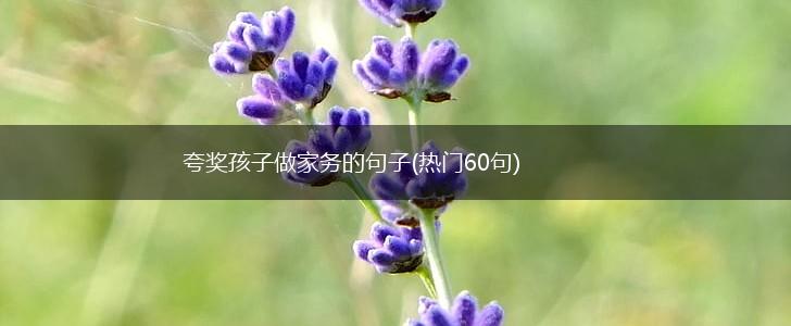 夸奖孩子做家务的句子(热门60句),第1张