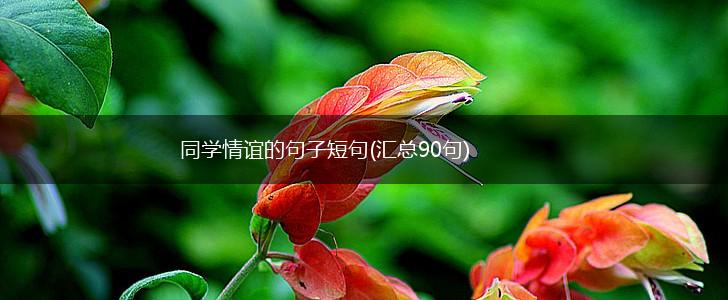 同学情谊的句子短句(汇总90句),第1张