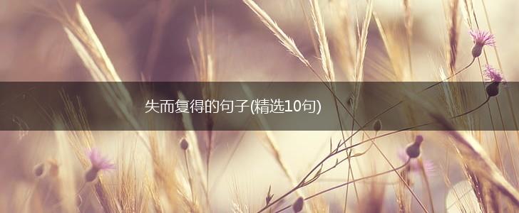 失而复得的句子(精选10句),第1张