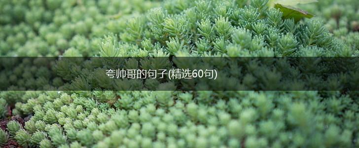 夸帅哥的句子(精选60句),第1张