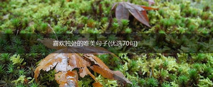 喜欢独处的唯美句子(优选70句),第1张