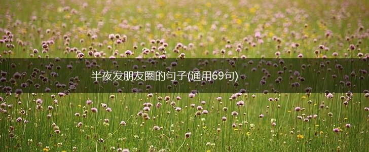 半夜发朋友圈的句子(通用69句),第1张