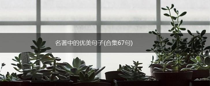 名著中的优美句子(合集67句),第1张