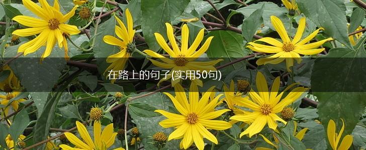 在路上的句子(实用50句),第1张