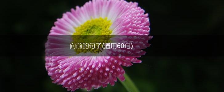 向前的句子(通用60句),第1张