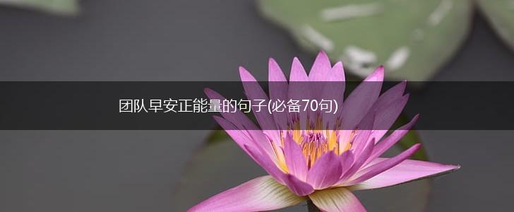 团队早安正能量的句子(必备70句),第1张