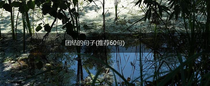 团结的句子(推荐60句),第1张