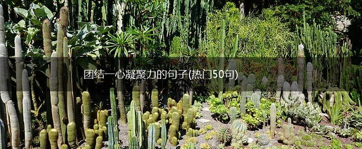 团结一心凝聚力的句子(热门50句),第1张