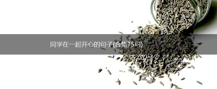 同学在一起开心的句子(合集75句),第1张