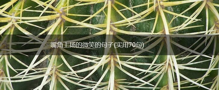 嘴角上扬的微笑的句子(实用70句),第1张