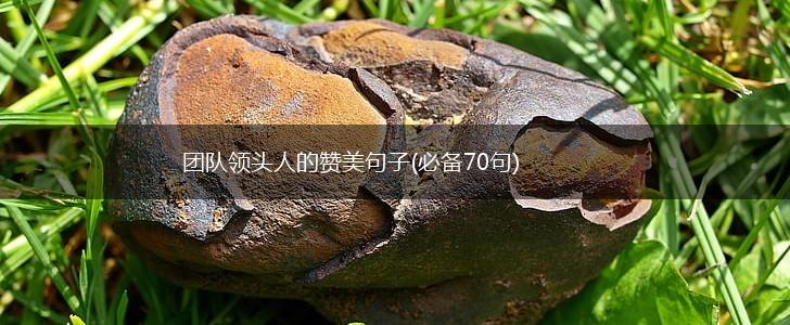 团队领头人的赞美句子(必备70句),第1张
