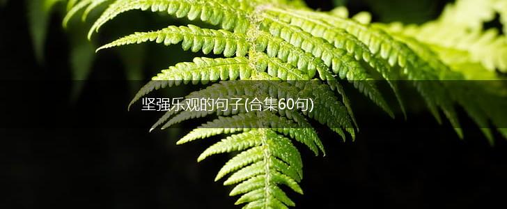 坚强乐观的句子(合集60句),第1张
