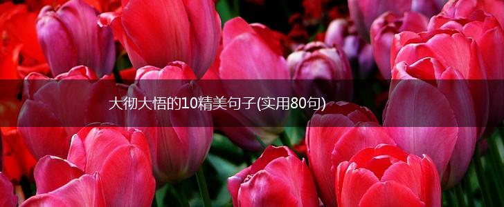 大彻大悟的10精美句子(实用80句),第1张