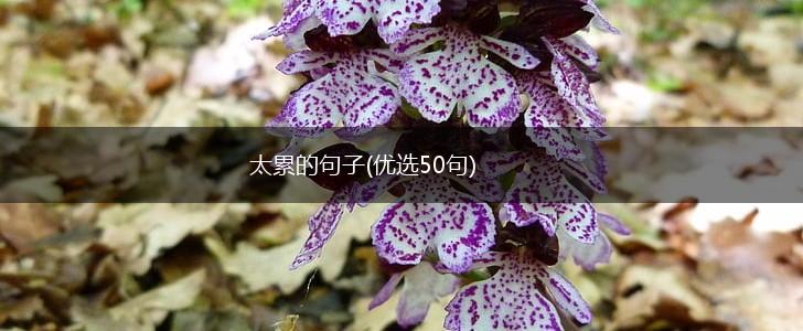 太累的句子(优选50句),第1张