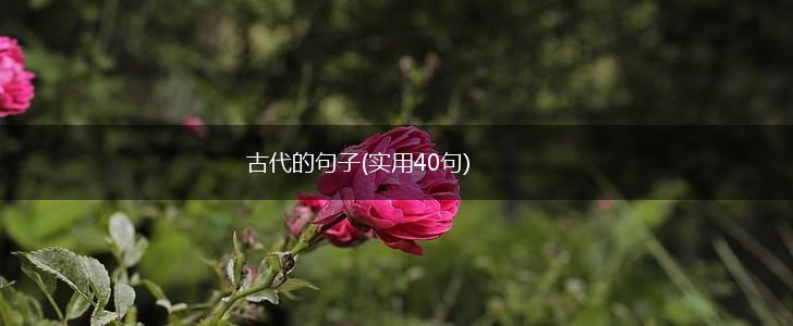 古代的句子(实用40句),第1张