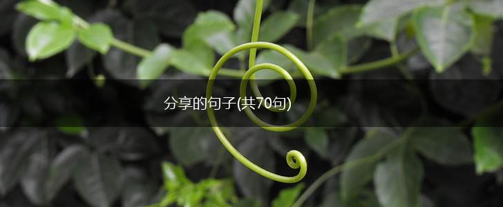 分享的句子(共70句),第1张