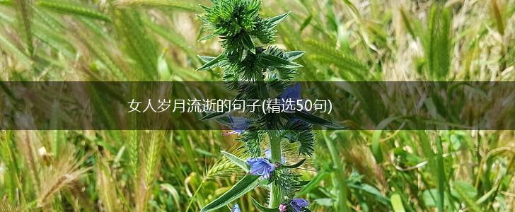 女人岁月流逝的句子(精选50句),第1张