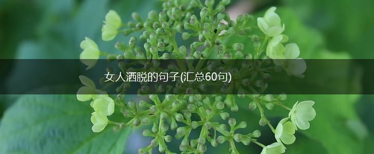 女人洒脱的句子(汇总60句),第1张