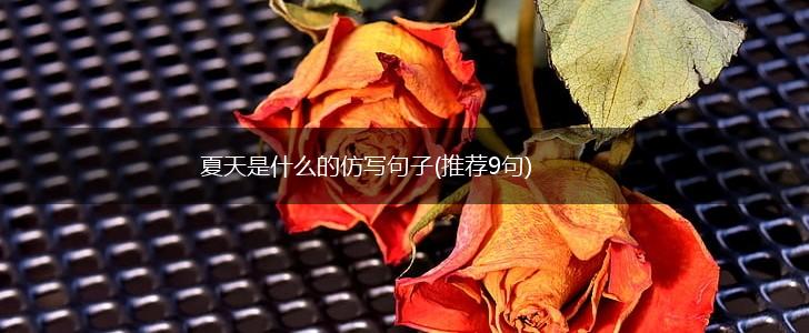 夏天是什么的仿写句子(推荐9句),第1张
