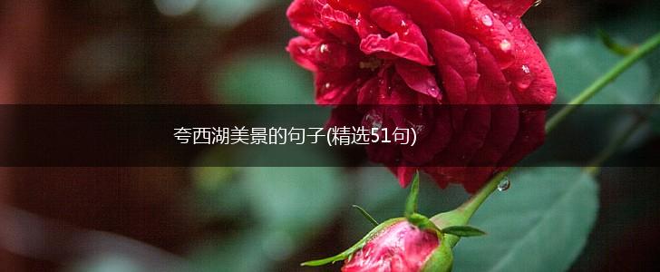 夸西湖美景的句子(精选51句),第1张