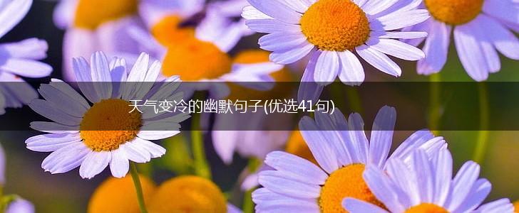 天气变冷的幽默句子(优选41句),第1张