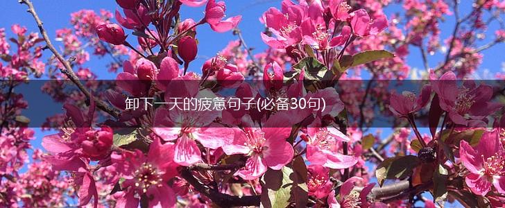 卸下一天的疲惫句子(必备30句),第1张