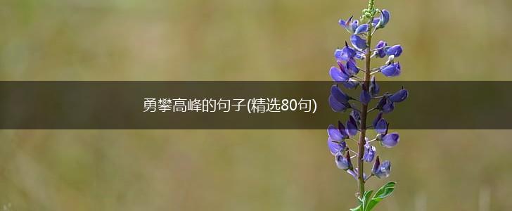 勇攀高峰的句子(精选80句),第1张