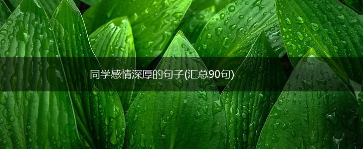 同学感情深厚的句子(汇总90句),第1张
