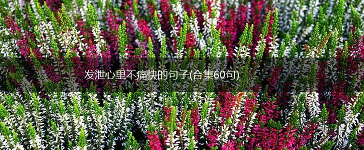 发泄心里不痛快的句子(合集60句),第1张
