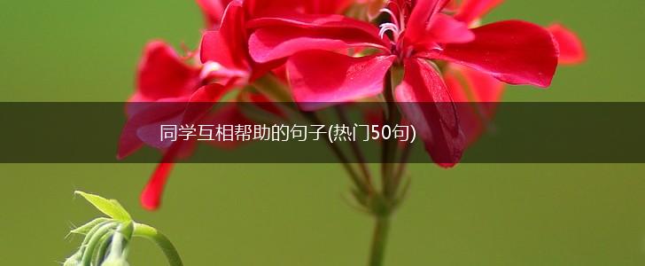 同学互相帮助的句子(热门50句),第1张