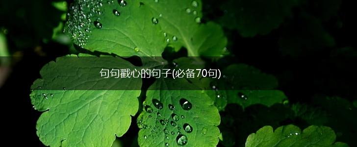 句句戳心的句子(必备70句),第1张