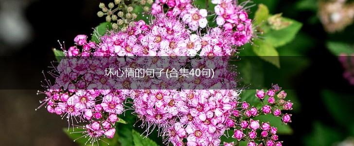 坏心情的句子(合集40句),第1张