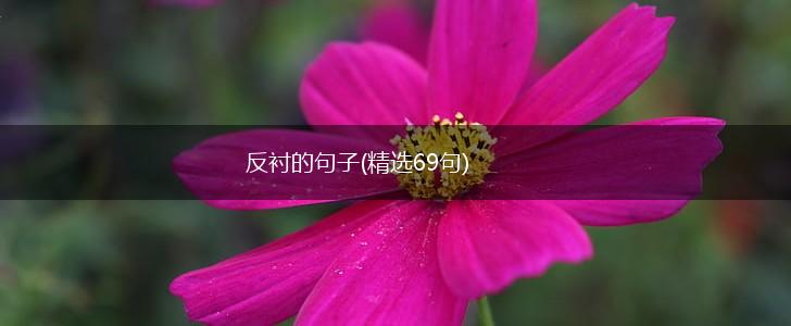 反衬的句子(精选69句),第1张