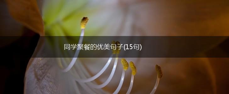 同学聚餐的优美句子(15句),第1张