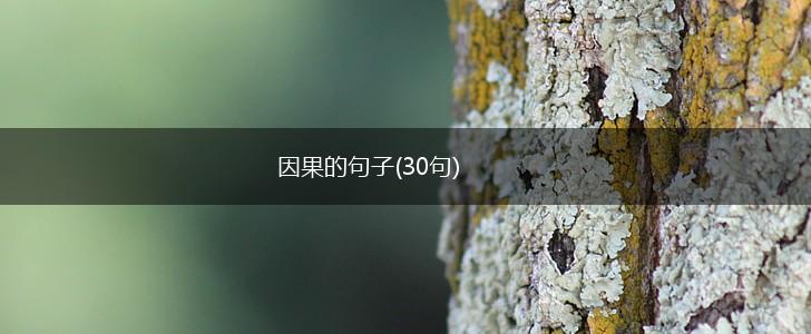 因果的句子(30句),第1张