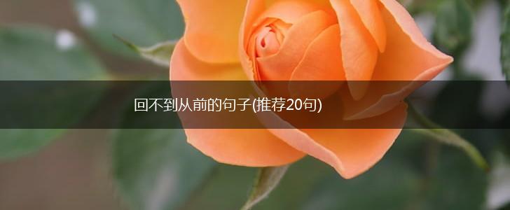 回不到从前的句子(推荐20句),第1张
