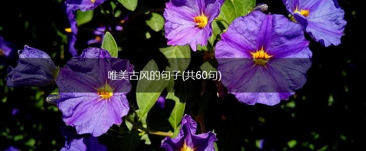 唯美古风的句子(共60句),第1张