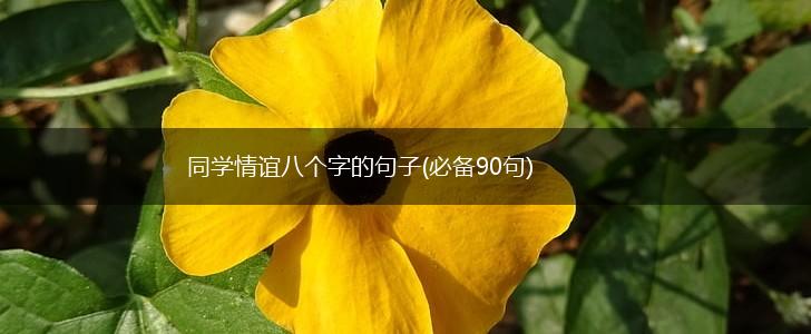 同学情谊八个字的句子(必备90句),第1张
