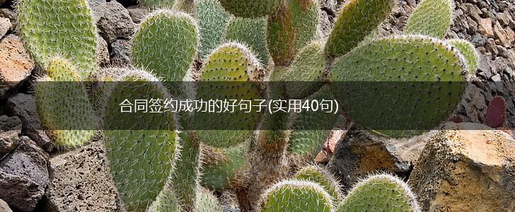 合同签约成功的好句子(实用40句),第1张