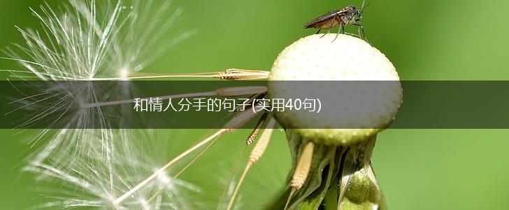 和情人分手的句子(实用40句),第1张