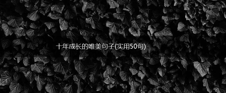 十年成长的唯美句子(实用50句),第1张