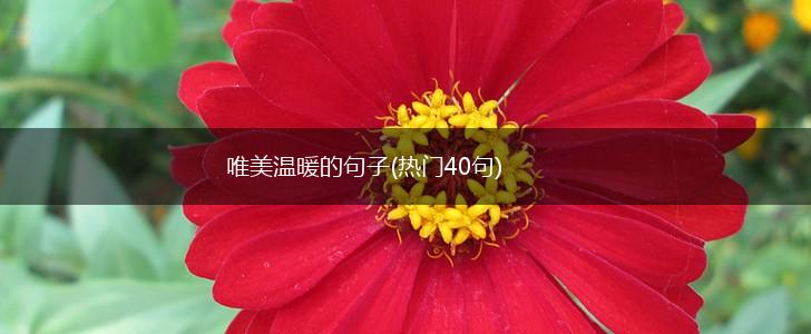 唯美温暖的句子(热门40句),第1张