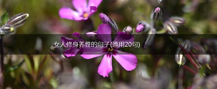 女人修身养性的句子(通用20句),第1张