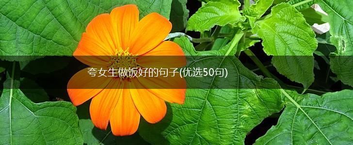 夸女生做饭好的句子(优选50句),第1张