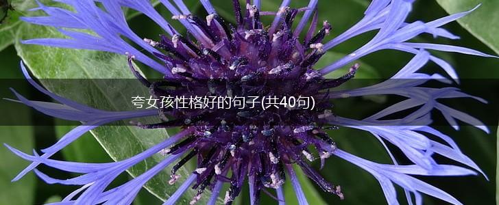 夸女孩性格好的句子(共40句),第1张