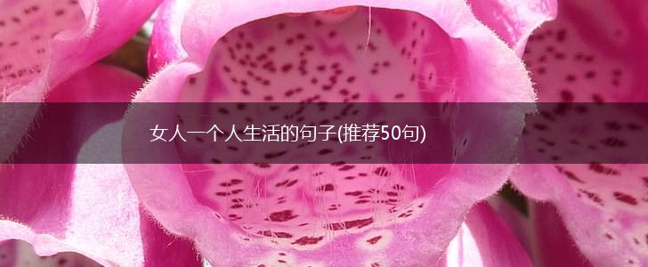 女人一个人生活的句子(推荐50句),第1张