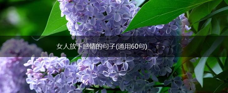 女人放下感情的句子(通用60句),第1张