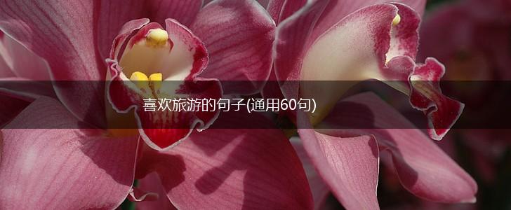 喜欢旅游的句子(通用60句),第1张